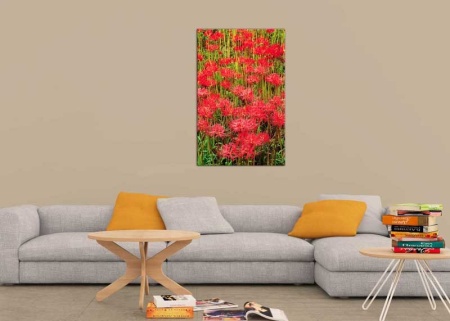 Tablou Canvas Flori Rosii