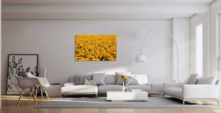 Tablou Canvas Flori