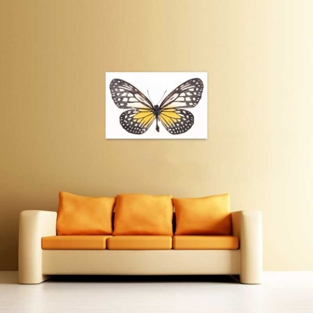 Tablou Canvas Fluturas