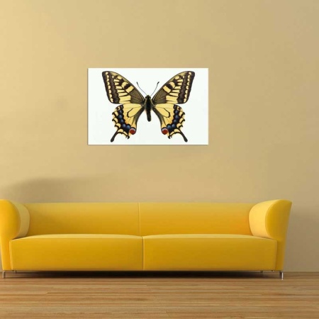 Tablou Canvas Fluturas