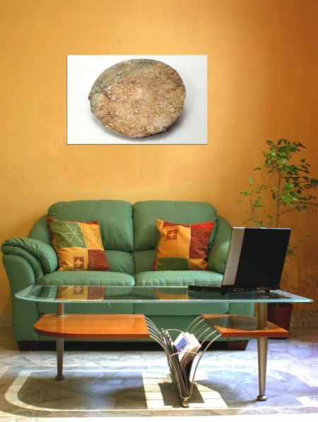 Tablou Canvas Fosila