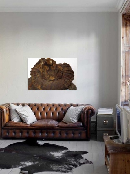 Tablou Canvas Fosila