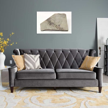 Tablou Canvas Fosila