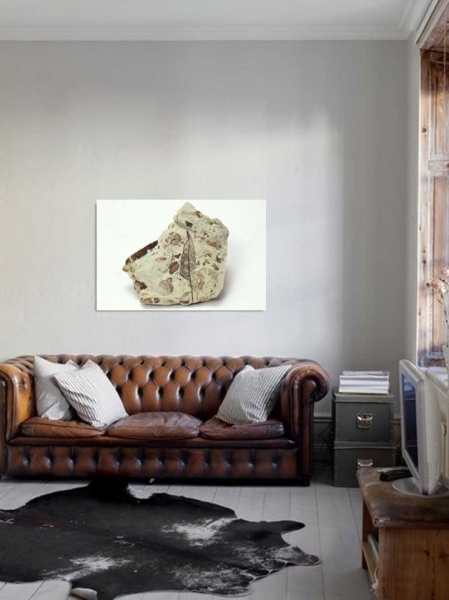 Tablou Canvas Fosila