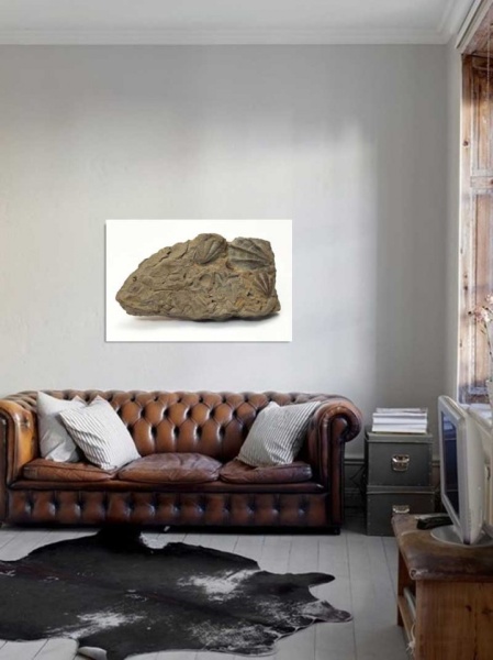 Tablou Canvas Fosila