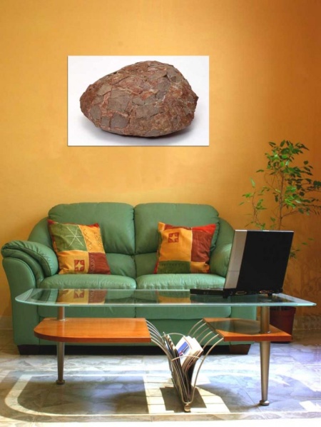 Tablou Canvas Fosila
