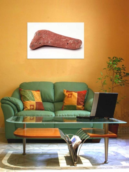 Tablou Canvas Fosila