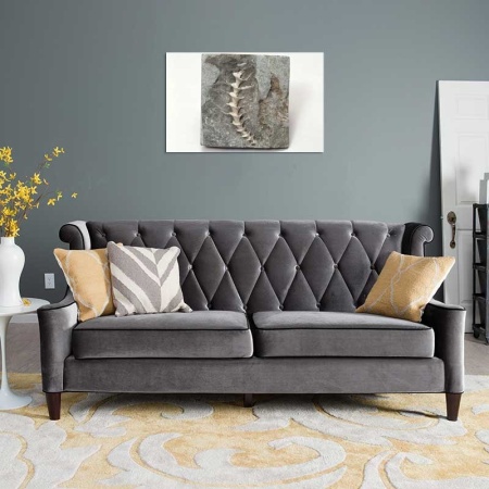 Tablou Canvas Fosila