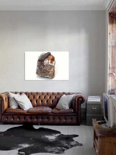 Tablou Canvas Fosila