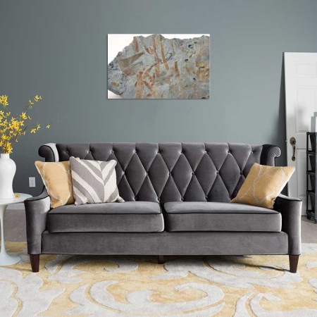 Tablou Canvas Fosila
