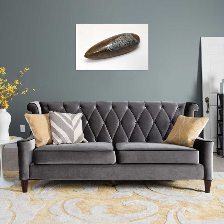 Tablou Canvas Fosila