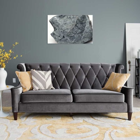 Tablou Canvas Fosila