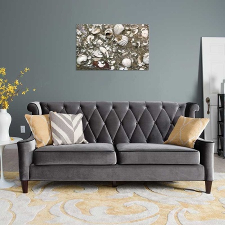 Tablou Canvas Fosila