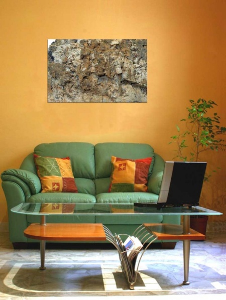 Tablou Canvas Fosila