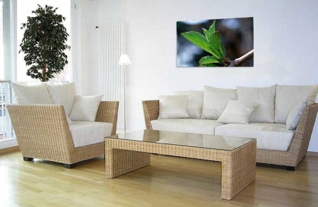 Tablou Canvas Frunza