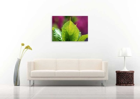 Tablou Canvas Frunza