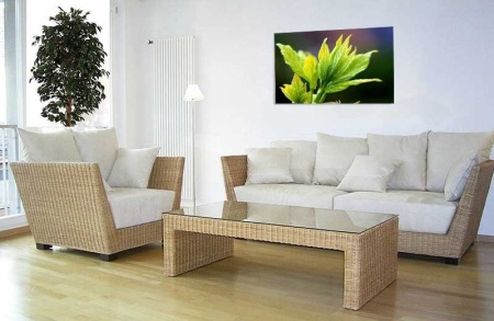 Tablou Canvas Frunza