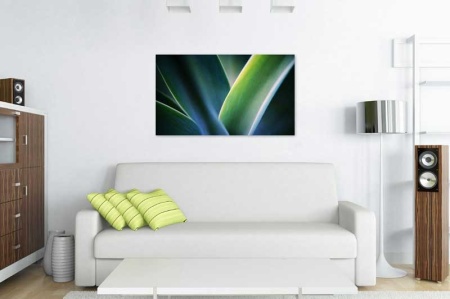 Tablou Canvas Frunza
