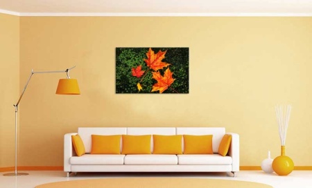 Tablou Canvas Frunze de toamna