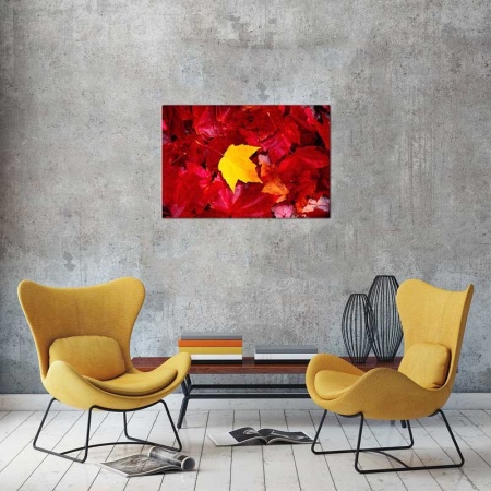 Tablou Canvas Frunze de toamna