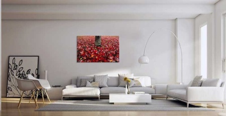Tablou Canvas Frunze rosii