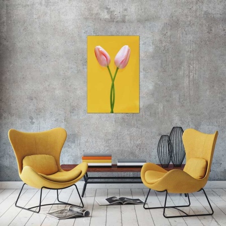 Tablou Canvas Fulgi de nea