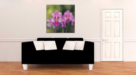 Tablou Canvas Gura Leulu