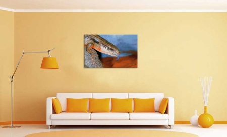 Tablou Canvas Iguana