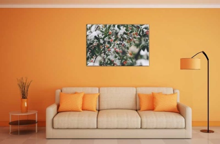 Tablou Canvas Maces