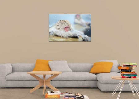 Tablou Canvas Maimuta de Zapada