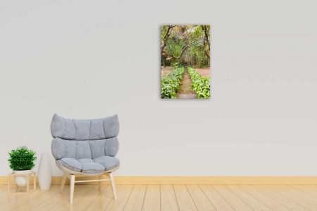 Tablou Canvas natura - cararusa din ograda