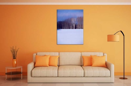 Tablou Canvas Natura iarna
