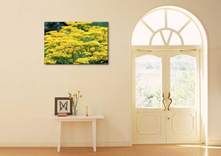 Tablou Canvas Natura