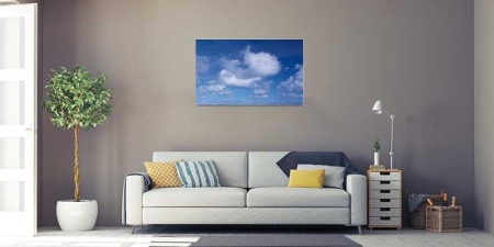 Tablou Canvas Nori Albi pe Cer