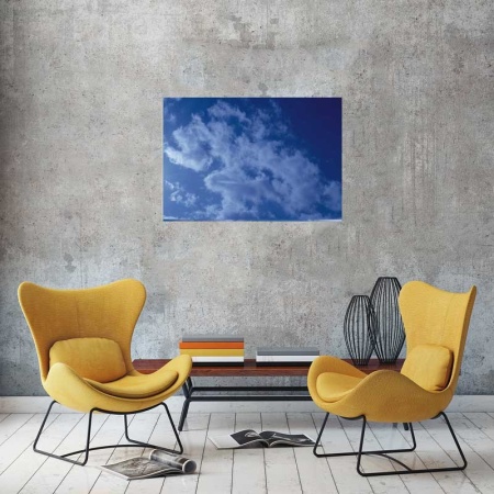 Tablou Canvas Nori Albi pe Cer