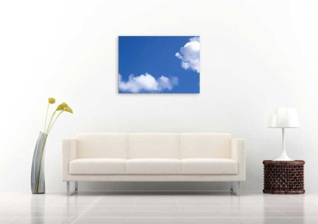Tablou Canvas Nori Albi pe Cer