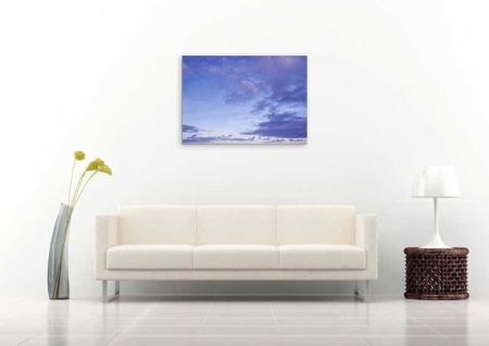 Tablou Canvas Nori Albi pe Cer