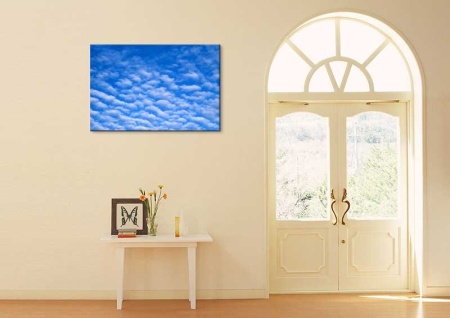 Tablou Canvas Nori Albi