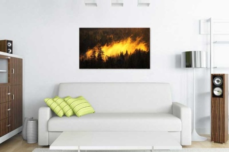 Tablou Canvas Padure