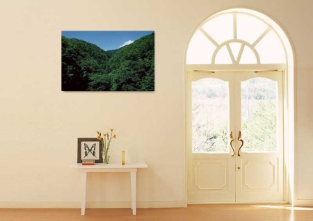 Tablou Canvas Padure