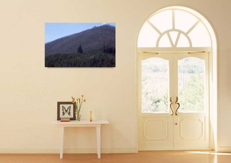 Tablou Canvas Padure