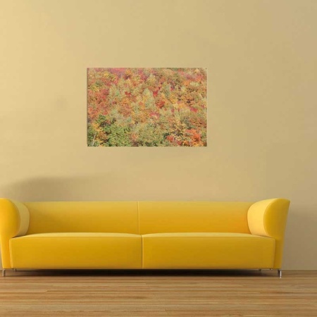 Tablou Canvas Padure