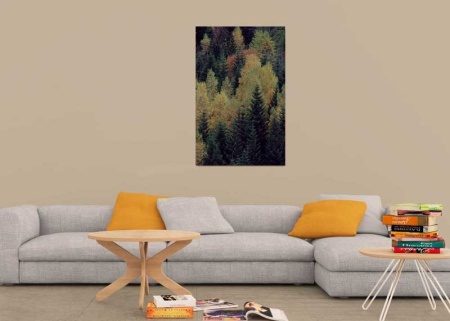 Tablou Canvas Padure