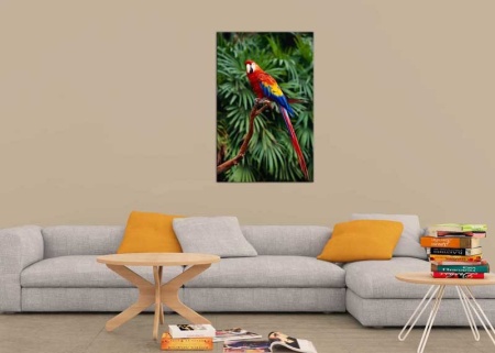 Tablou Canvas Papagal