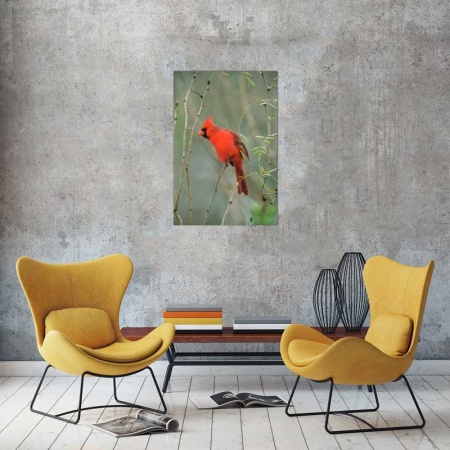 Tablou Canvas Pasare