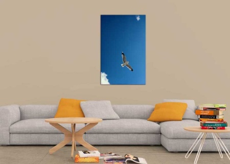 Tablou Canvas Pescarus
