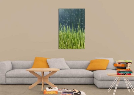 Tablou Canvas Ploaie