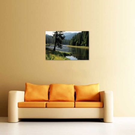 Tablou Canvas Rau