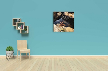 Tablou Canvas ri underwater - stea de mare