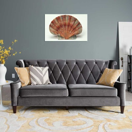 Tablou Canvas Scoica